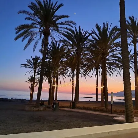 Frente Al Mar Y A Pie De Playa *